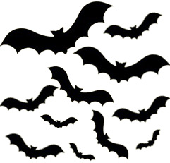 fying bats