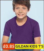 wholesale Gildan softstyle t shirt